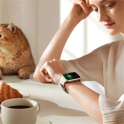 Watch Honor Watch 5 STL-B19 Gold Silicone Strap