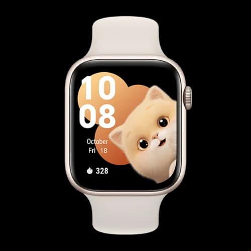 Watch Honor Watch 5 STL-B19 Gold Silicone Strap